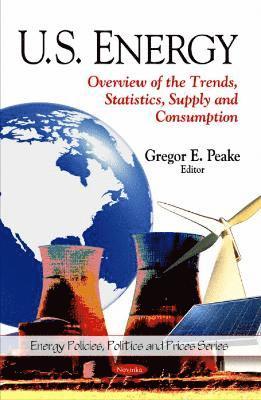 bokomslag U.S. Energy