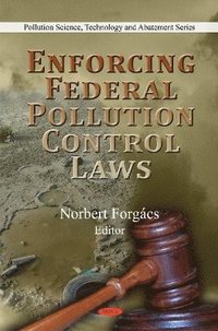 bokomslag Enforcing Federal Pollution Control Laws