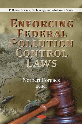 bokomslag Enforcing Federal Pollution Control Laws