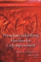 bokomslag Phosphate Solubilizing Microbes for Crop Improvement