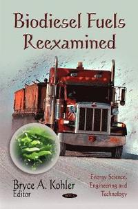 bokomslag Biodiesel Fuels Reexamined