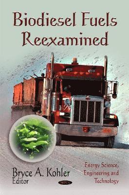 bokomslag Biodiesel Fuels Reexamined