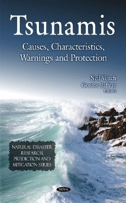 bokomslag Tsunamis