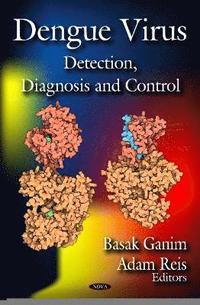 bokomslag Dengue Virus