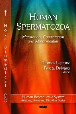 Human Spermatozoa 1