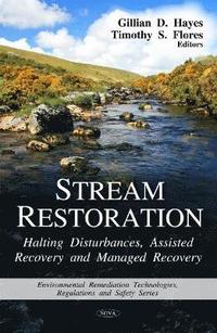 bokomslag Stream Restoration