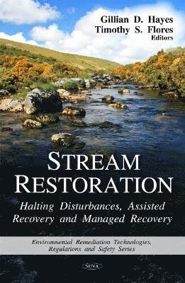 bokomslag Stream Restoration