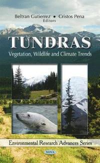 bokomslag Tundras