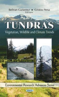 bokomslag Tundras