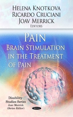 bokomslag Pain / Brain Stimulation in the Treatment of Pain