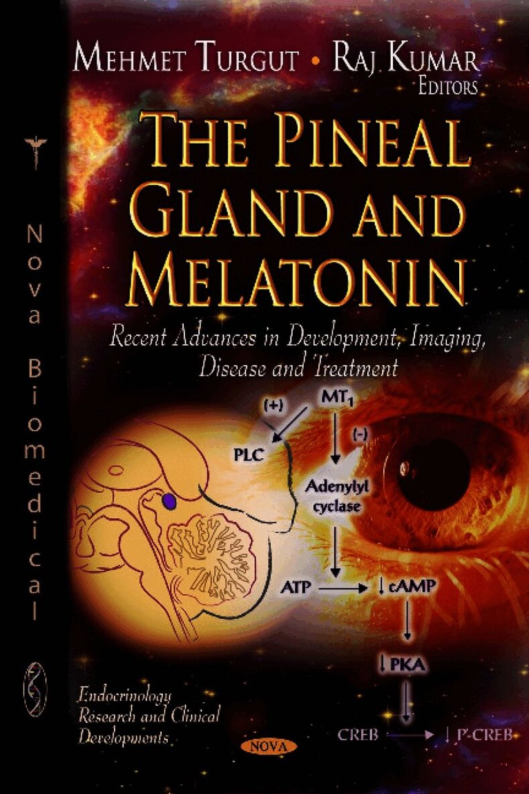 Pineal Gland & Melatonin