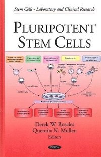 bokomslag Pluripotent Stem Cells