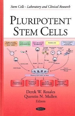 bokomslag Pluripotent Stem Cells
