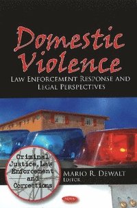 bokomslag Domestic Violence