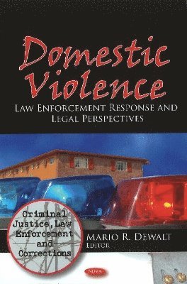 bokomslag Domestic Violence