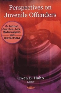 bokomslag Perspectives on Juvenile Offenders