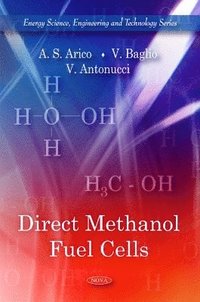bokomslag Direct Methanol Fuel Cells