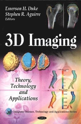 bokomslag 3D Imaging