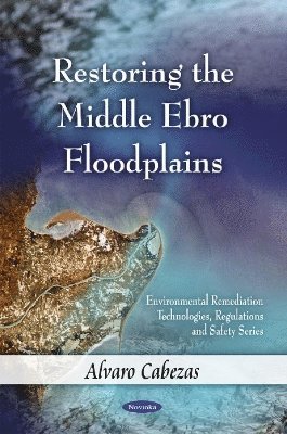bokomslag Restoring the Middle Ebro Floodplains