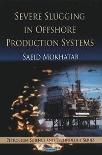 bokomslag Severe Slugging in Offshore Production Systems