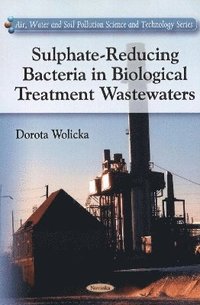 bokomslag Sulphate-Reducing Bacteria in Biological Treatment Wastewaters