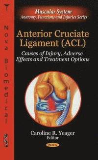 bokomslag Anterior Cruciate Ligament (ACL)