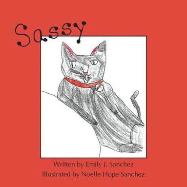 bokomslag Sassy