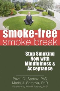 bokomslag The Smoke-Free Smoke Break