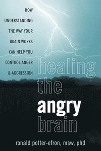 bokomslag Healing the Angry Brain