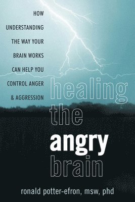 Potter-Efron, R: Healing the Angry Brain