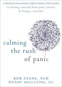 bokomslag Calming the Rush of Panic
