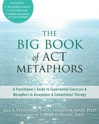 bokomslag The Big Book of ACT Metaphors