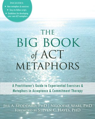 bokomslag Big Book of ACT Metaphors