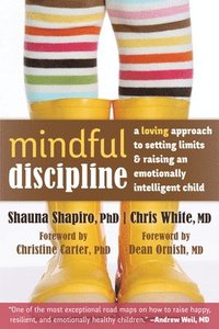 bokomslag Mindful Discipline