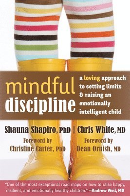 Mindful Discipline 1