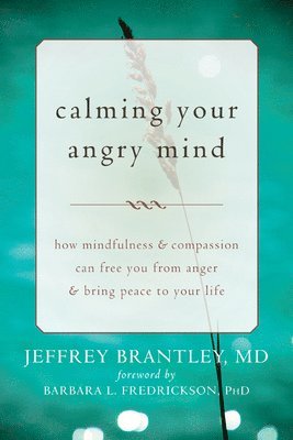 Calming Your Angry Mind 1