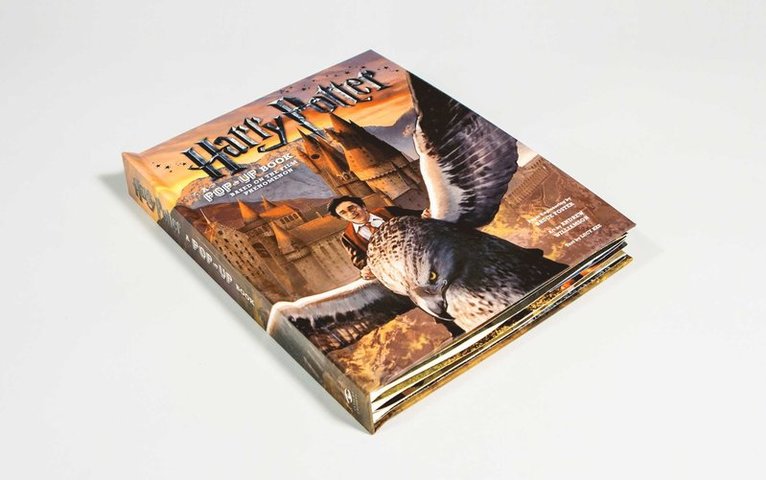 Harry Potter: A Pop-Up Book 1