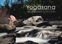 bokomslag Yogasana