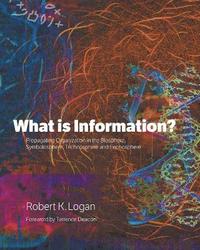 bokomslag What is Information?