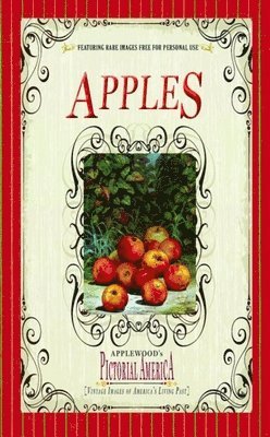 Apples (Pictorial America) 1