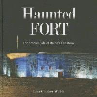 bokomslag The Haunted Fort