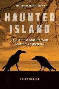 bokomslag Haunted Island