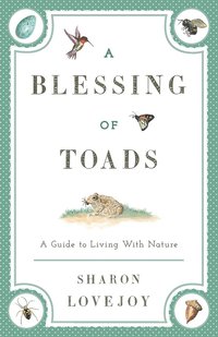 bokomslag A Blessing of Toads