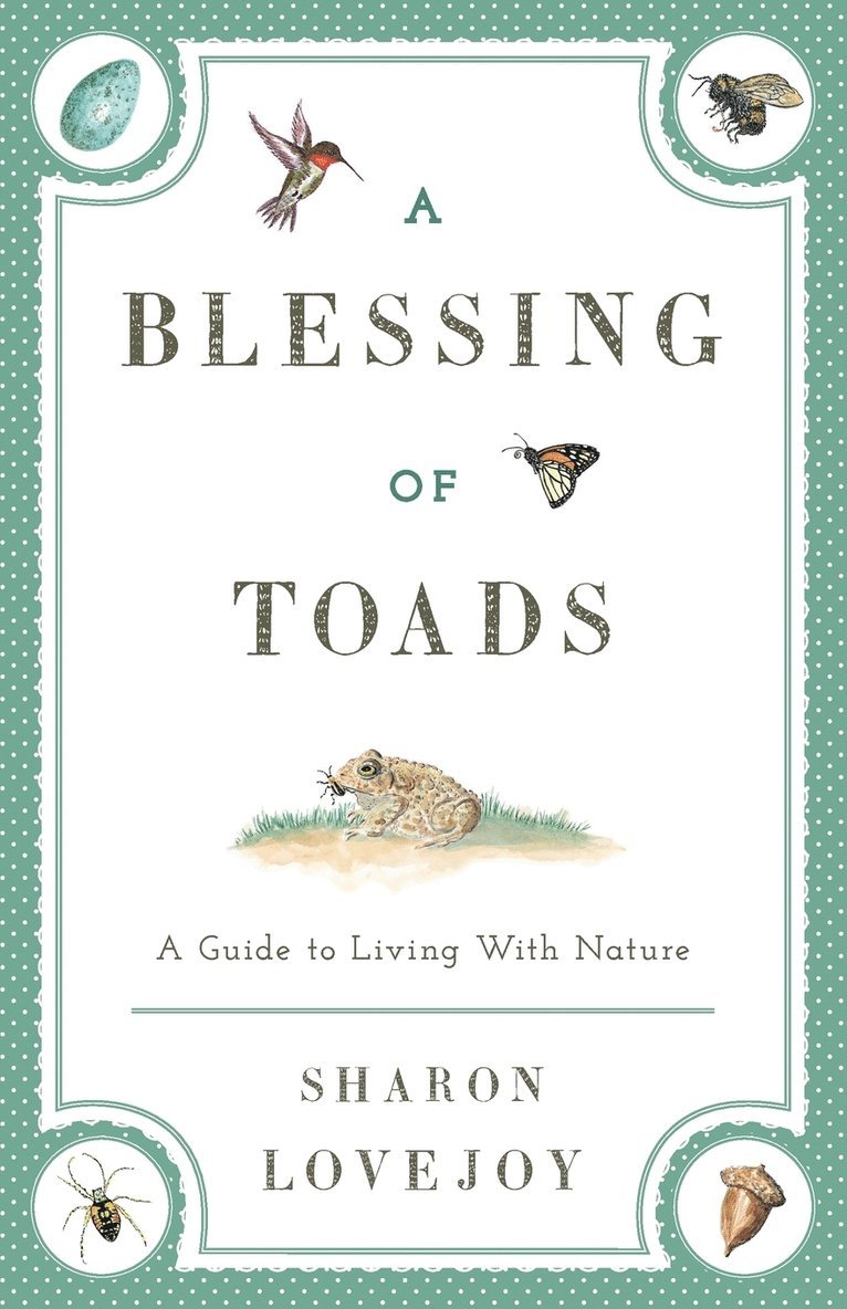 A Blessing of Toads 1