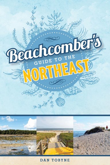 Dan Tobyne - Beachcomber's Guide to the Northeast, Häftad