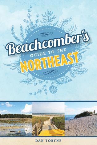 bokomslag Beachcomber's Guide to the Northeast