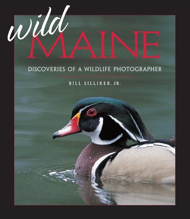 Bill Silliker Jr. - Wild Maine, Häftad