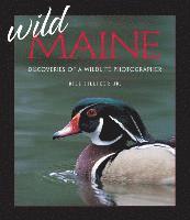 Bill Silliker Jr., Bill Silliker - Wild Maine, Häftad