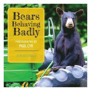 bokomslag Bears Behaving Badly