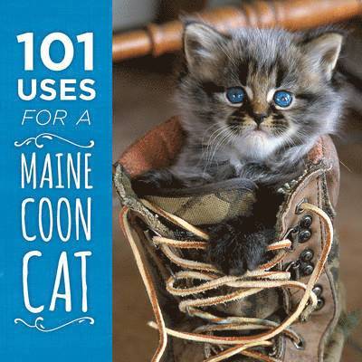 101 Uses for a Maine Coon Cat 1